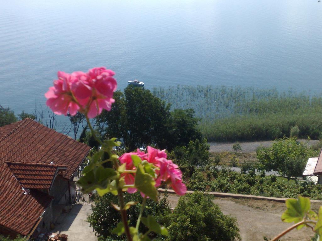 אוהריד Sonce Guest House מראה חיצוני תמונה